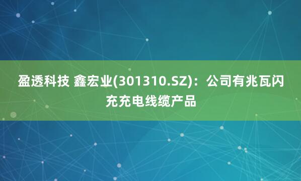 盈透科技 鑫宏业(301310.SZ)：公司有兆瓦闪充充电线缆产品