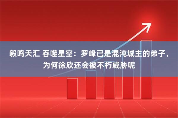 毅鸣天汇 吞噬星空：罗峰已是混沌城主的弟子，为何徐欣还会被不朽威胁呢