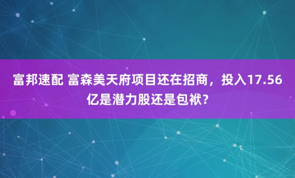富邦速配 富森美天府项目还在招商,投入17.56亿是潜力股还是包袱?
