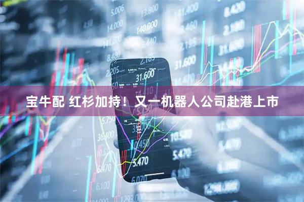 宝牛配 红杉加持！又一机器人公司赴港上市