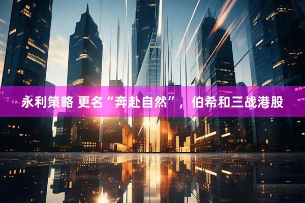 永利策略 更名“奔赴自然”，伯希和三战港股