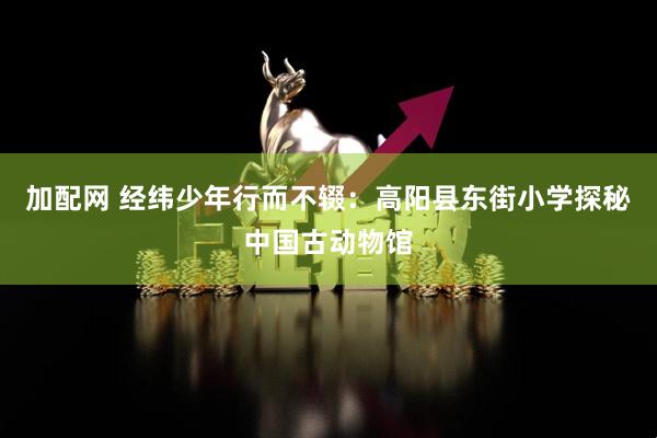 加配网 经纬少年行而不辍：高阳县东街小学探秘中国古动物馆